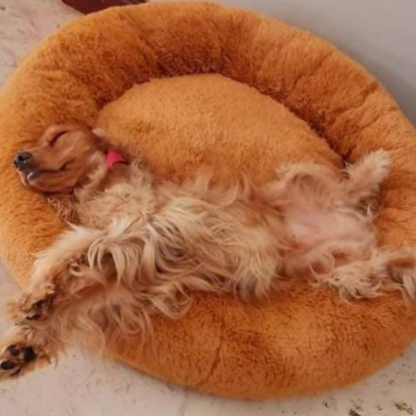 CAMA DONA PARA MASCOTAS (INCLUYE ALMOHADA HUESO Y FORRO INTERNO)