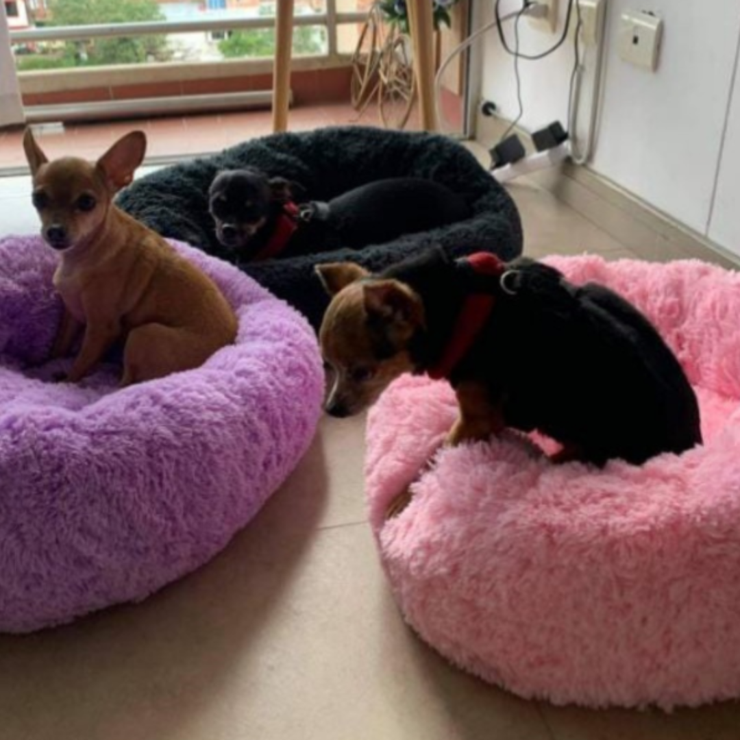 CAMA DONA PARA MASCOTAS (INCLUYE ALMOHADA HUESO Y FORRO INTERNO)