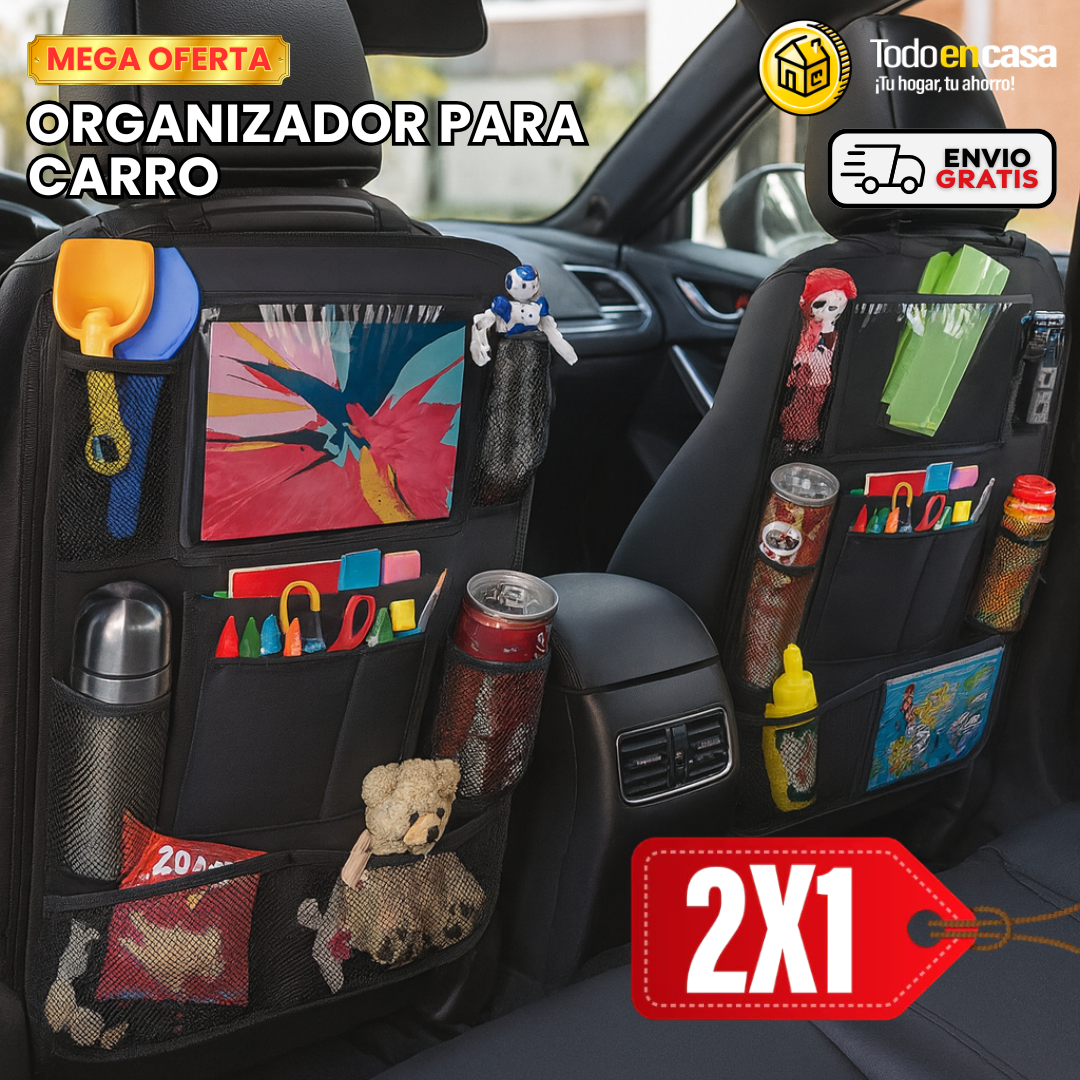 ORGANIZADOR PARA CARRO 2x1