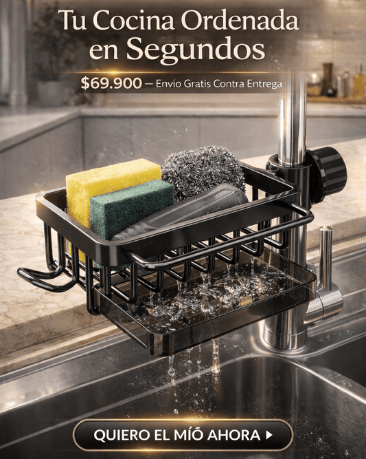 ORGANIZADOR ESCURRIDOR PARA LAVAPLATOS