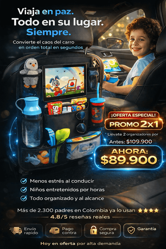 ORGANIZADOR PARA CARRO 2X1